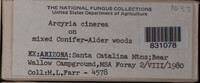 Image Associated With the Occurence